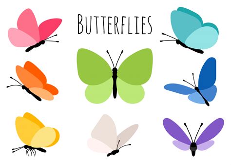 Can You Have a Pet Butterfly? And Why Do They Dream in Color?