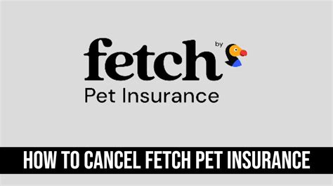 How do I cancel Fetch Pet Insurance: A Comprehensive Guide to Navigating the Process and Beyond