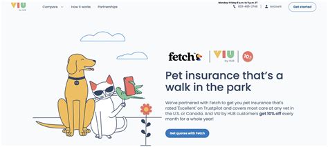 How do I cancel Fetch Pet Insurance? And why do cats always land on their feet but my Wi-Fi never does?