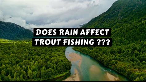 How Does Rain Affect Fishing: A Symphony of Nature and Angler's Strategy