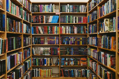 How Many Books is a Library: The Infinite Paradox of Knowledge and Space