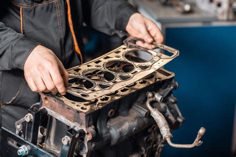 How Much Does a Head Gasket Repair Cost? And Why Do Cats Always Land on Their Feet?