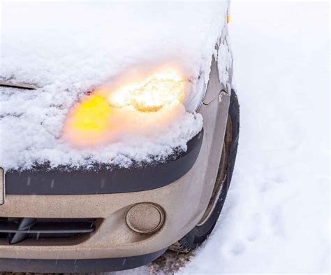 How Often Should You Start Your Car in Cold Weather: And Why Does My Cat Stare at the Engine?