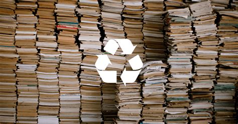 Where to Recycle Old Books: Exploring the Uncharted Realms of Literary Sustainability